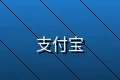 支持支付宝在线支付